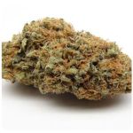 Шишки AK47 (Гидропоника, Бошка) VHQ в Наро-Фоминске Шишки AK47 (Гидропоника, Бошка) VHQ в Наро-Фоминске